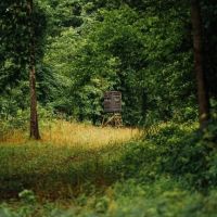 One Equity Share at Hardin Point Hunting Club in Lee County AR images 5
