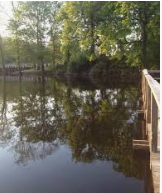 Great River Road State Park 25 acres Duck Hunting in Bolivar, MS images 3