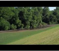 Great River Road State Park 25 acres Duck Hunting in Bolivar, MS images 4