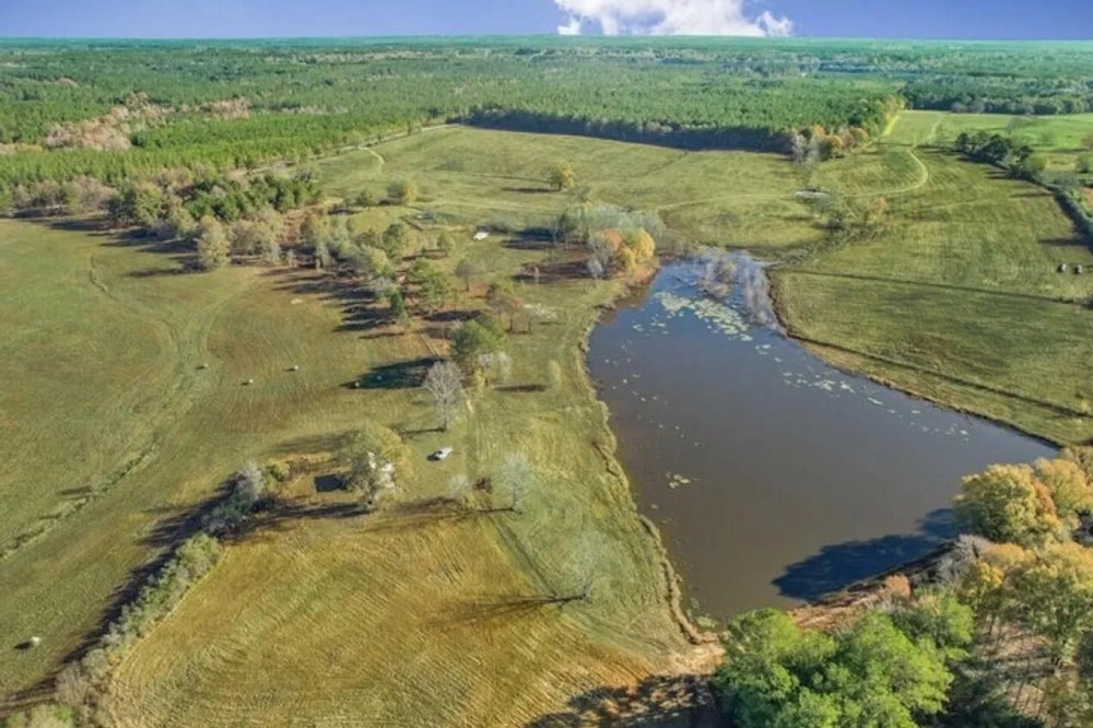 Perry County Mississippi Land For Sale featured image