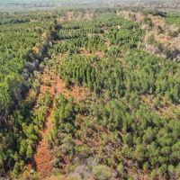 Perry County Mississippi Land For Sale images 5