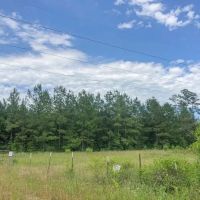 388 Acres Lost Indian Camp Road Tract 5302 images 3