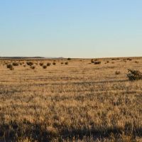 South Apishapa Ranch images 4