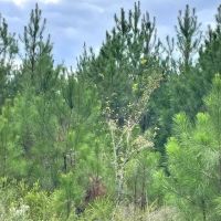 Highway 83 S images 4