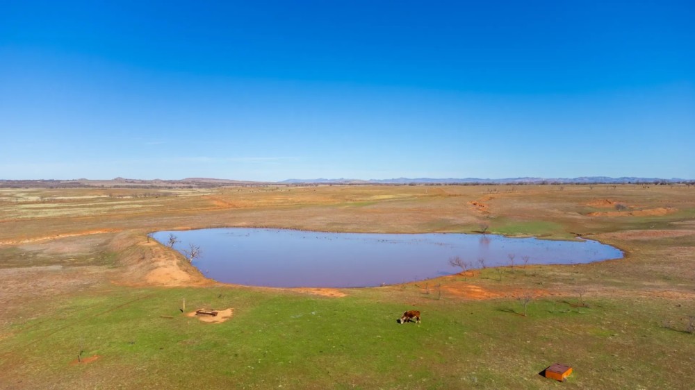 Deep Red Ranch featured image
