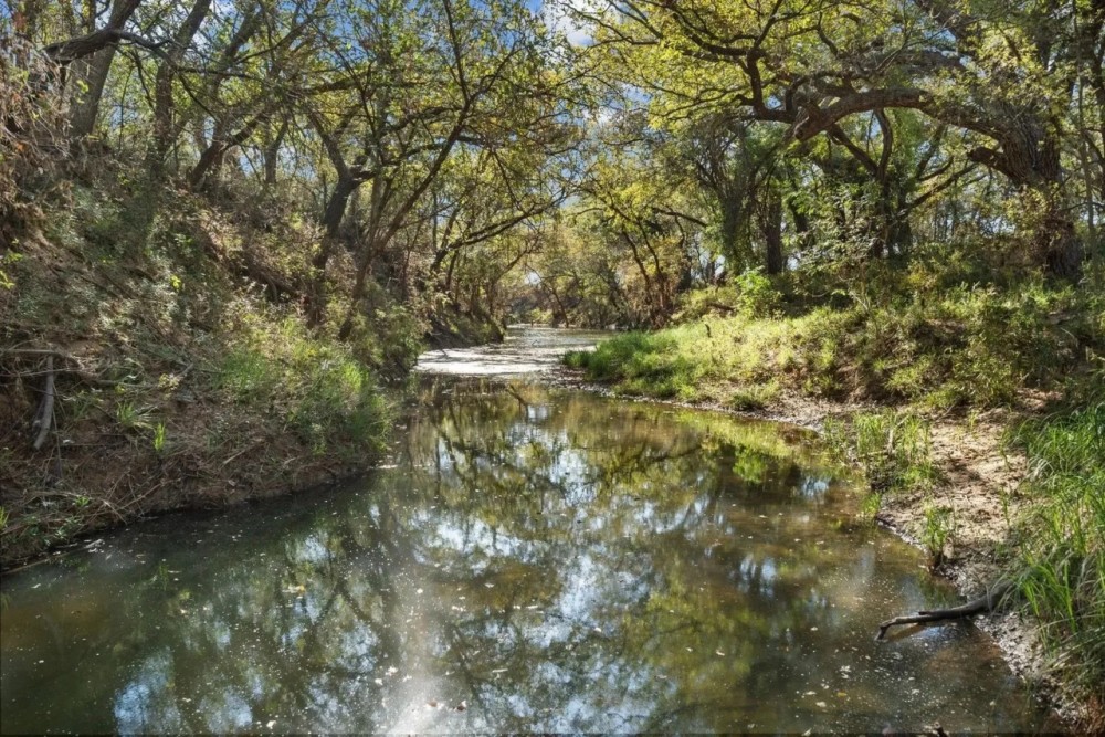 TBD County Road 136 Coleman Texas 76834 featured image