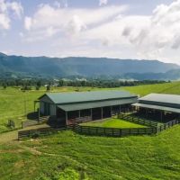 Stunning Cattle Ranch For Sale in Southwest VA images 4
