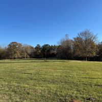 44.97 Acres in Benton County MS images 2