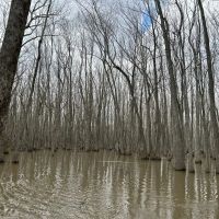 112 Acres in Holmes County MS images 1