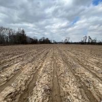 112 Acres in Holmes County MS images 5