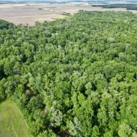 26 acres in Crooked Creek bottoms