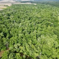 26 acres in Crooked Creek bottoms images 2