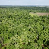 26 acres in Crooked Creek bottoms images 3