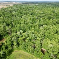 26 acres in Crooked Creek bottoms images 5