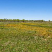 Triangle H Ranch images 2