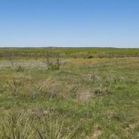 Triangle H Ranch images 4
