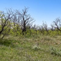 Triangle H Ranch images 5