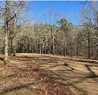 28,000 acres George P. Cossar State Park Deer Hunting Land in Yalobusha, MS images 6