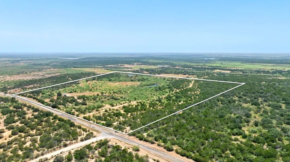Double A Ranch - 133 Acres in Santa Anna TX featured image