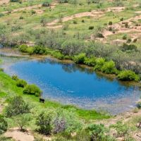 Double A Ranch - 133 Acres in Santa Anna TX images 5