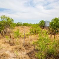 Yar-Bar-O Ranch images 4