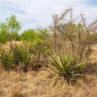 Yar-Bar-O Ranch images 5