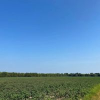 37.4 Acres in Quitman County MS images 3
