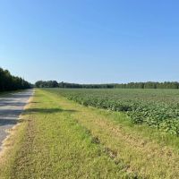 37.4 Acres in Quitman County MS images 4