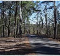 Deer Hunting Land Hugh White State Park 64,000-acres in Grenada, MS images 4