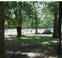 Deer Hunting Land Hugh White State Park 64,000-acres in Grenada, MS images 5