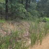 JOSLIN VALLEY Tract B images 4