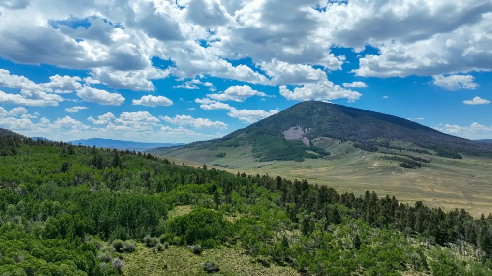 Waunita Park Ranch featured image