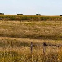 172-Acre Farm in Arapahoe Nebraska for Sale images 3