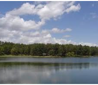 Lake Lowndes State Park 150 acres Waterfowl Hunting Land in Lowndes, MS images 5