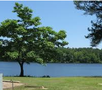 Lake Lowndes State Park 150 acres Waterfowl Hunting Land in Lowndes, MS images 6
