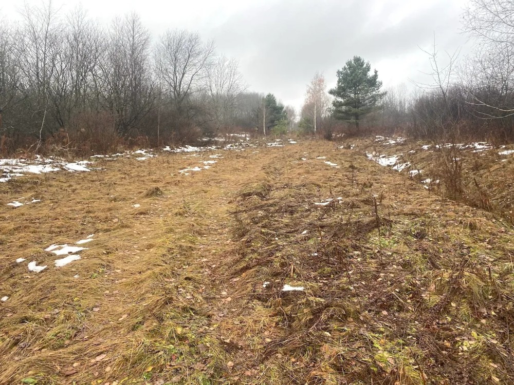 63 acres Hunting Land with Valley Views in Friendship NY 4409 State Route 275 featured image