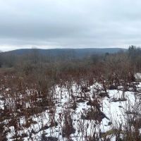 63 acres Hunting Land with Valley Views in Friendship NY 4409 State Route 275 images 3