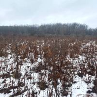 63 acres Hunting Land with Valley Views in Friendship NY 4409 State Route 275 images 4