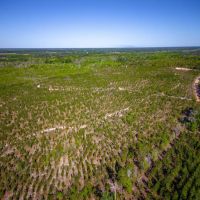 Heaven on Big Satilla Creek images 3
