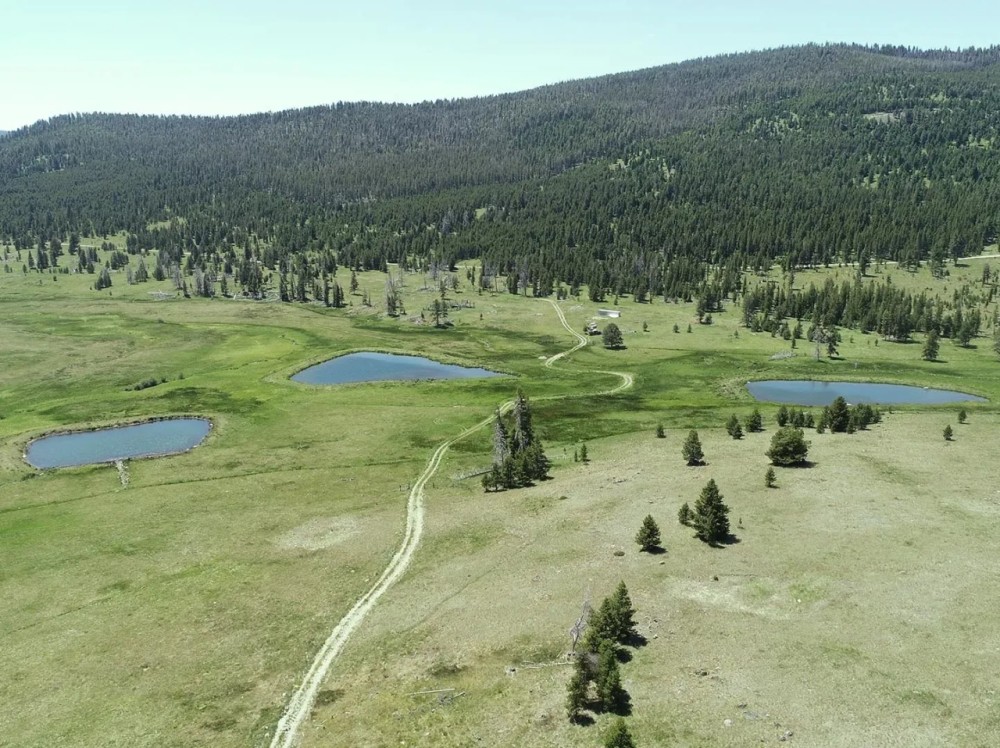 Hope Creek Ranch featured image