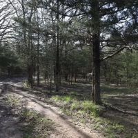 Deep Branch Creek 735