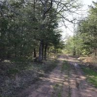 Deep Branch Creek 735 images 3