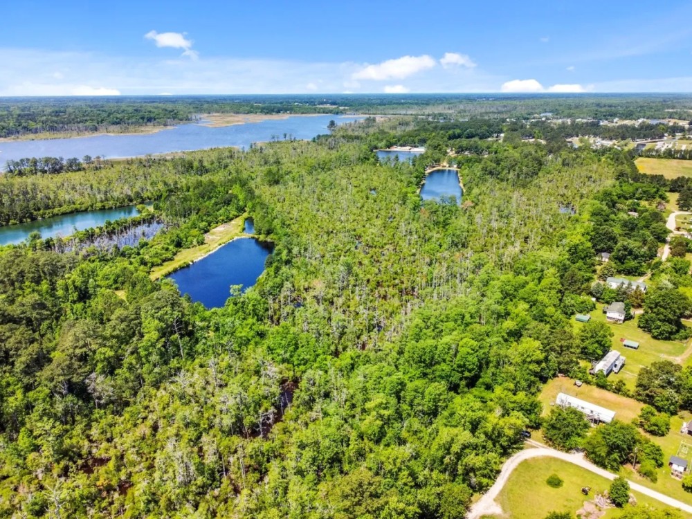 Hunting Fishing Property for Sale in Beaufort County North Carolina featured image