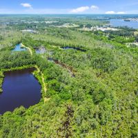 Hunting Fishing Property for Sale in Beaufort County North Carolina images 5