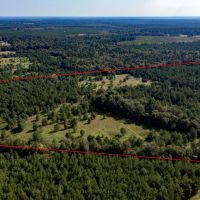Mineral Springs Farm images 3