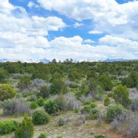 38 Acres Bordering BLM and Near Cornerstone Golf images 4
