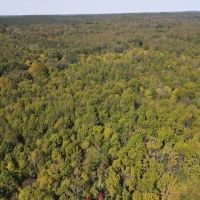 84.5 Acres in Lafayette County MS images 2