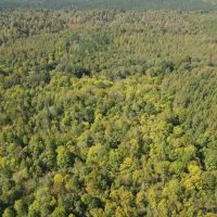 84.5 Acres in Lafayette County MS images 5