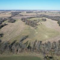 Secluded Hunting CRP Tract 82 Acres Morgan County Illinois