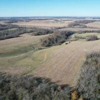 Secluded Hunting CRP Tract 82 Acres Morgan County Illinois images 3